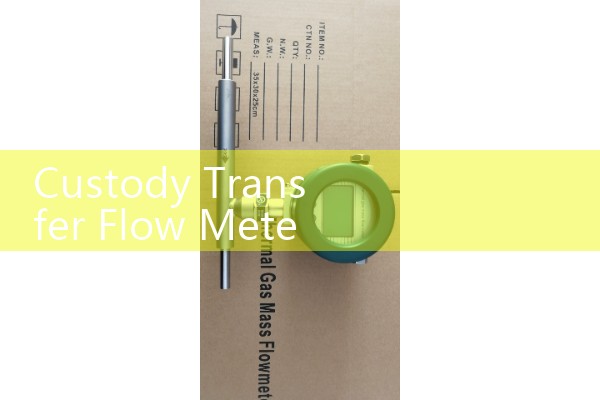 Custody Transfer Flow Meter: High Accuracy Petroleum Utility Billing Main Valves